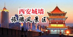 大湿社五月天老司机中国陕西-西安城墙旅游风景区
